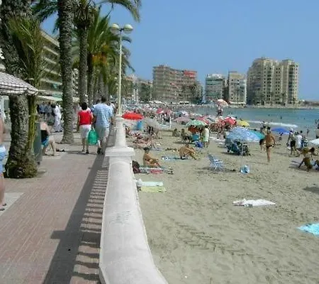 Renovierte In Daire Torrevieja