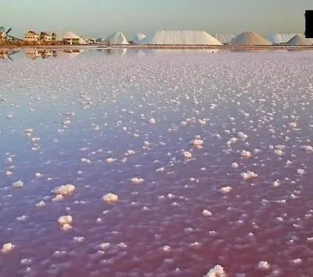 Renovierte In Torrevieja